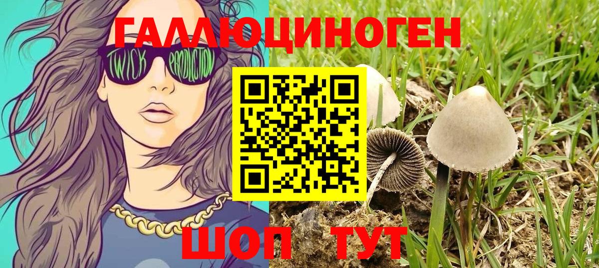 Псилоцибиновые грибы Magic Shrooms Нефтеюганск